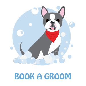 Book a Groom Session