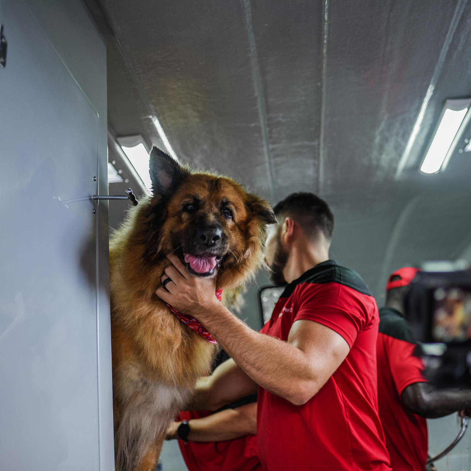Helping Pets Build Positive Associations