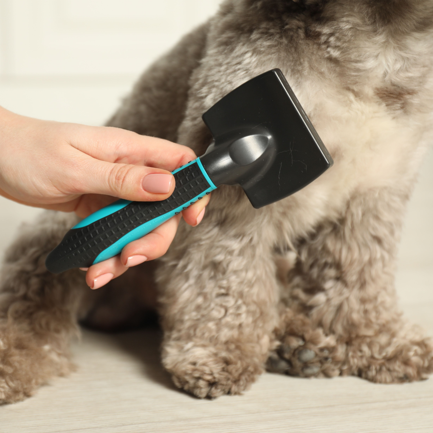 Brush Away the Winter Coat