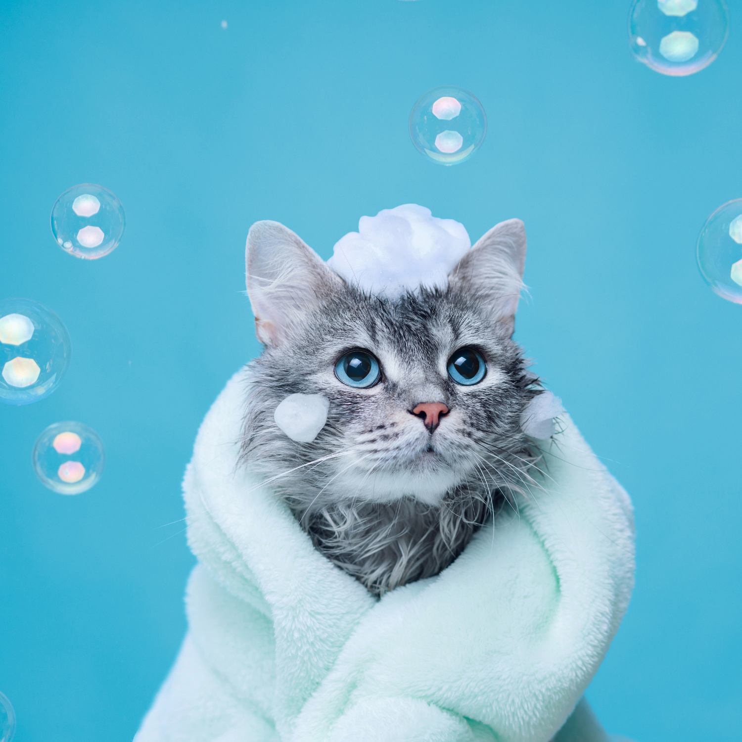 Freshen Up With Bath Time