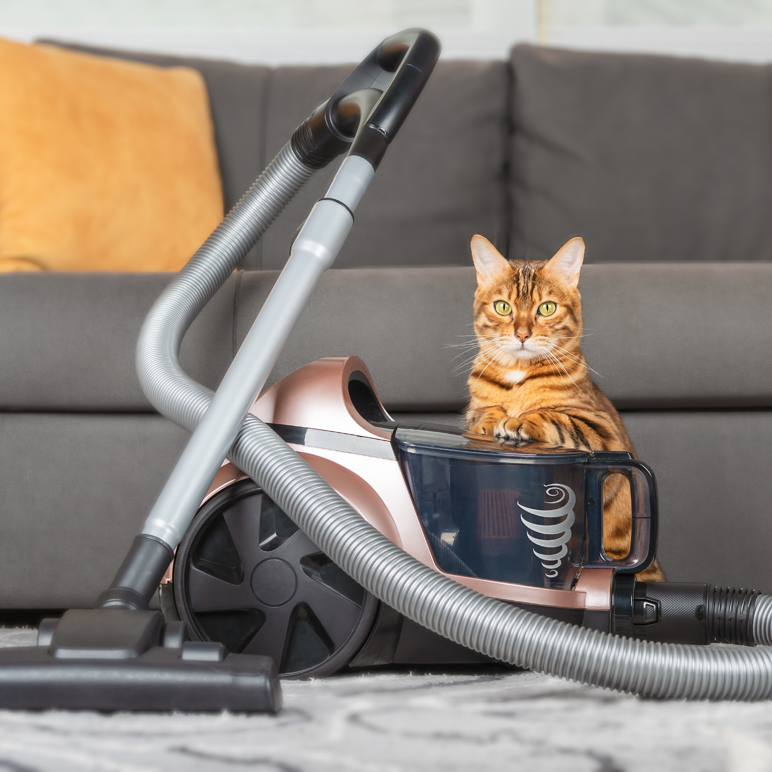Keeping Your Home and Garden Pest-Free