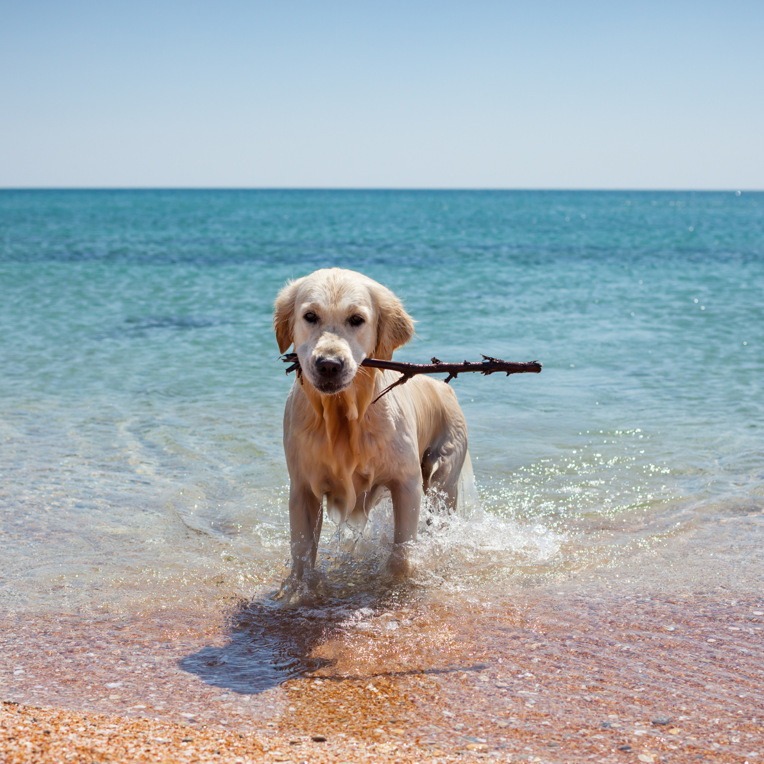 Summer_ Keep It Cool and Comfortable